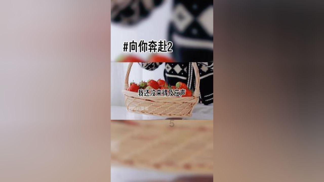 小猫钓鱼正版下载中文版