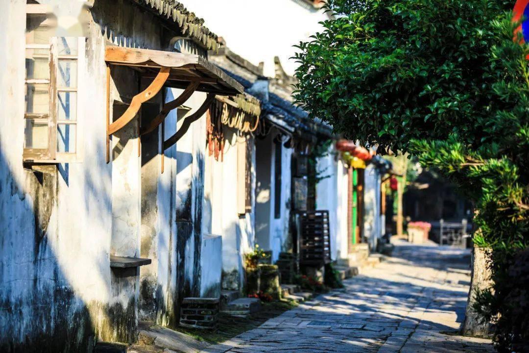 加勒比巡航